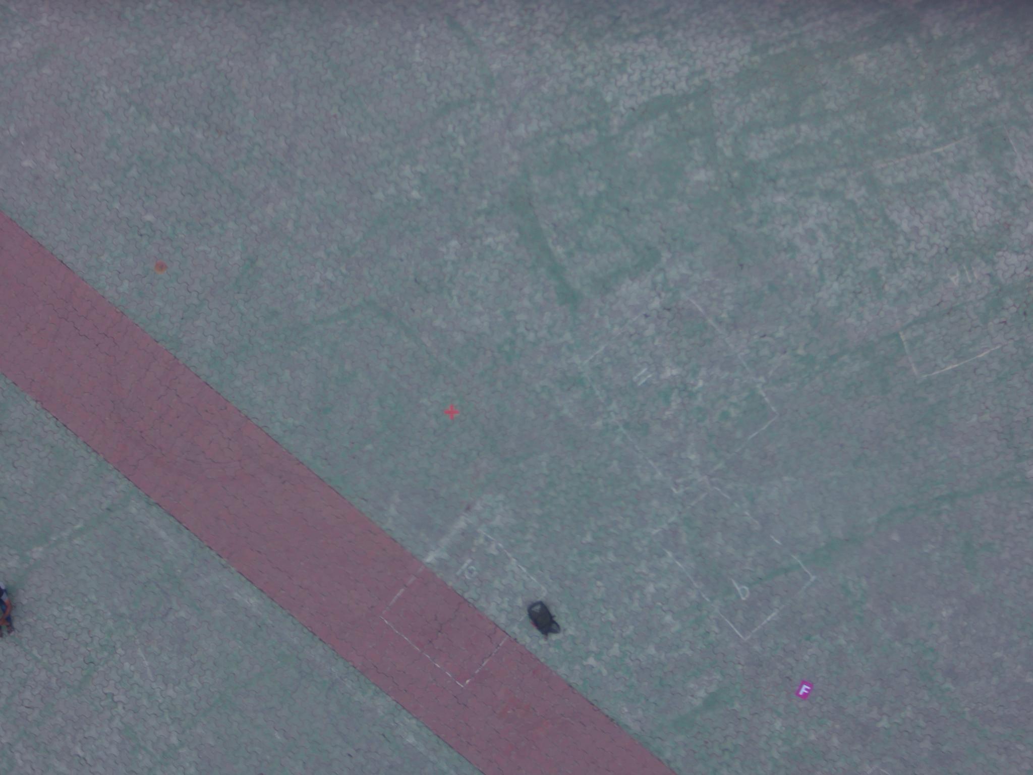 Dataset Image