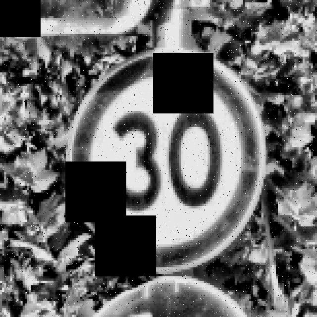 Dataset Image