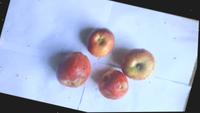 Dataset Image