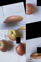 Dataset Image