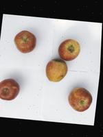 Dataset Image