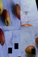 Dataset Image
