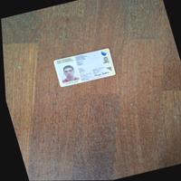 Dataset Image