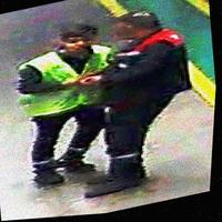 Dataset Image
