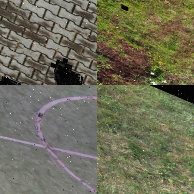 Dataset Image