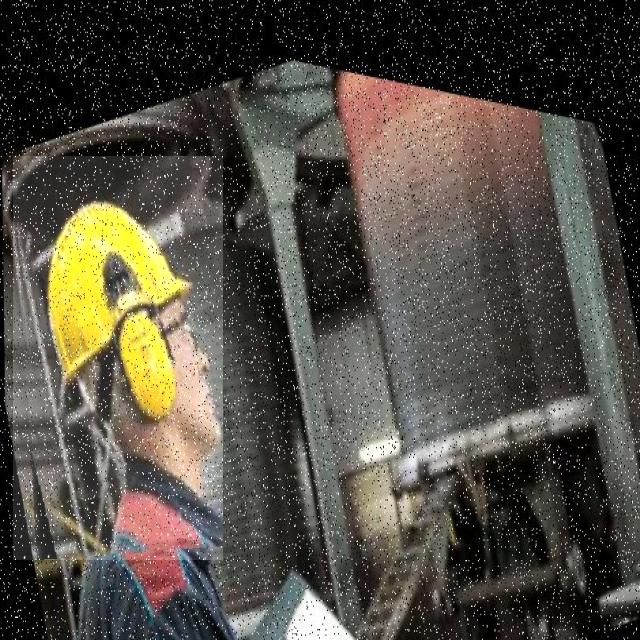 Dataset Image