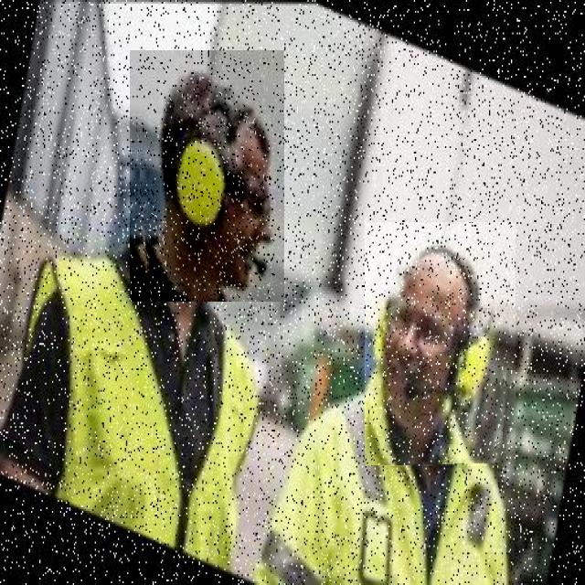 Dataset Image