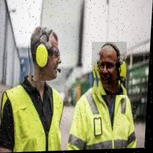 Dataset Image