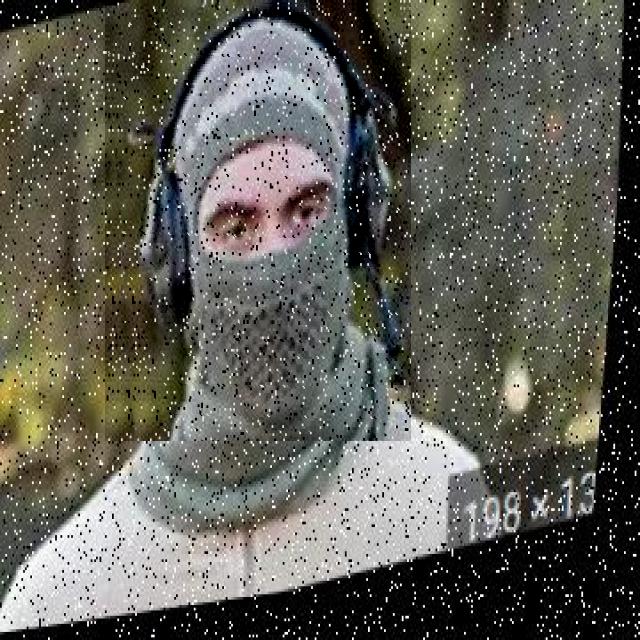 Dataset Image