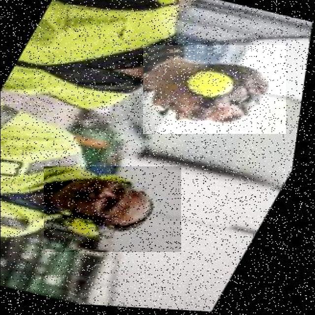 Dataset Image
