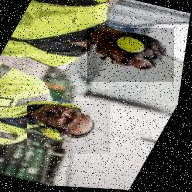Dataset Image