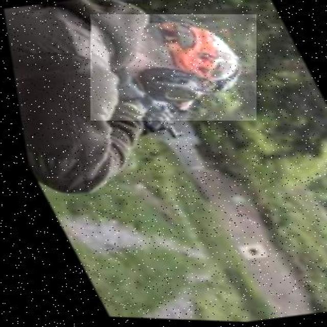 Dataset Image