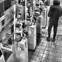 Dataset Image
