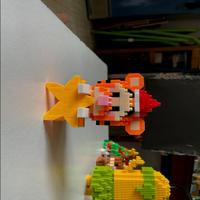 Dataset Image
