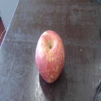 Dataset Image