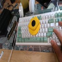 Dataset Image