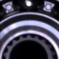 Dataset Image