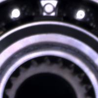 Dataset Image