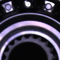 Dataset Image