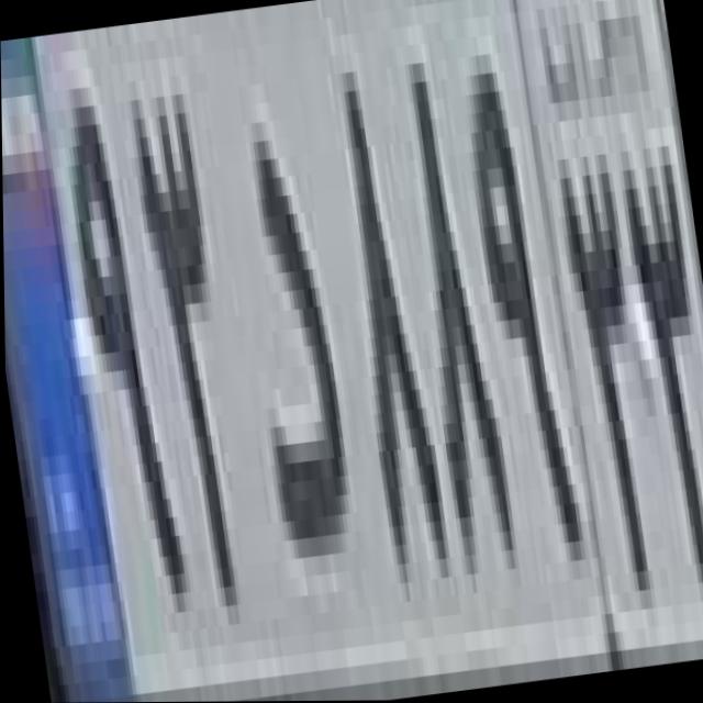 Dataset Image