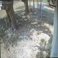 Dataset Image