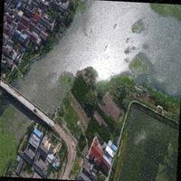 Dataset Image