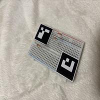 Dataset Image