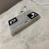 Dataset Image