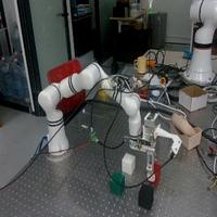 Dataset Image