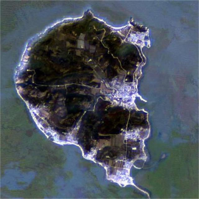 Dataset Image