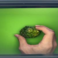 Dataset Image