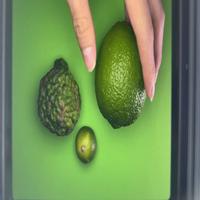 Dataset Image