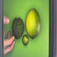 Dataset Image