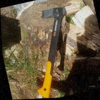 Dataset Image