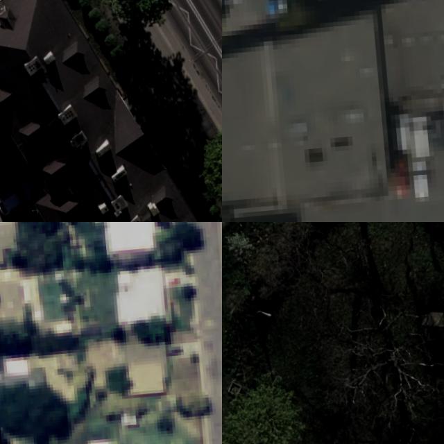 Dataset Image