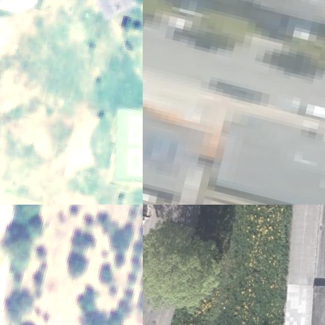 Dataset Image