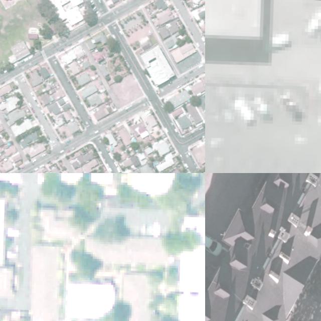 Dataset Image