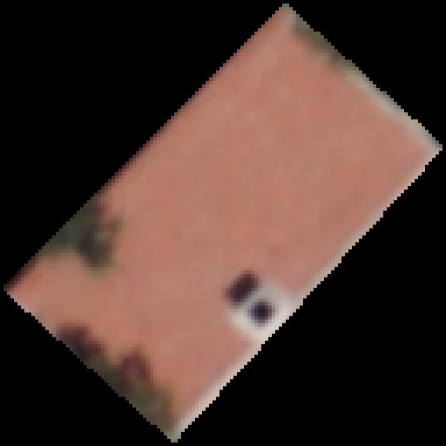 Dataset Image