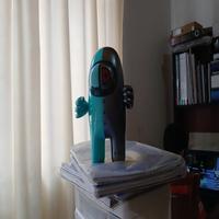 Dataset Image