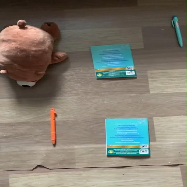 Dataset Image
