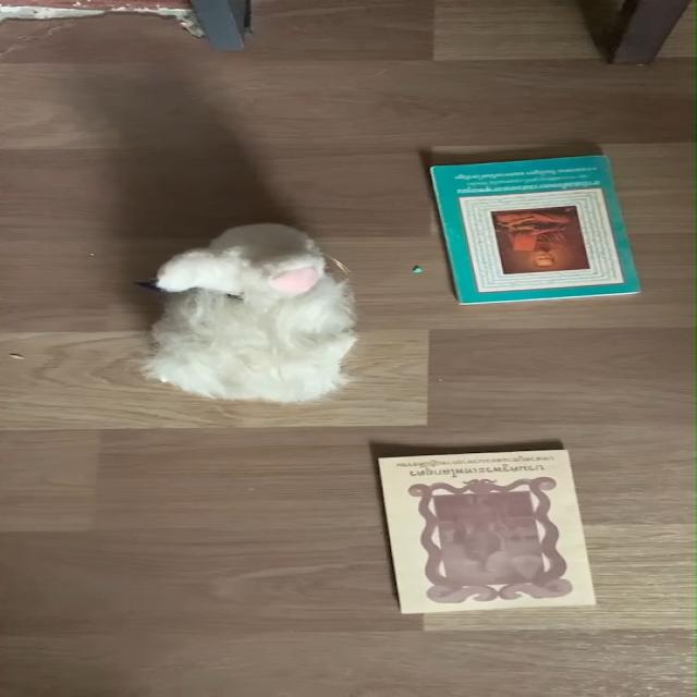 Dataset Image