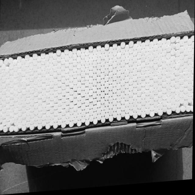 Dataset Image