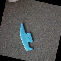 Dataset Image