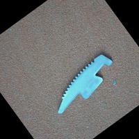 Dataset Image