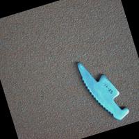 Dataset Image