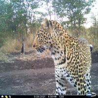 Dataset Image