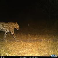 Dataset Image