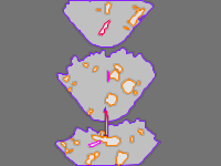 Annotation Visualization