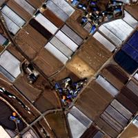 Dataset Image