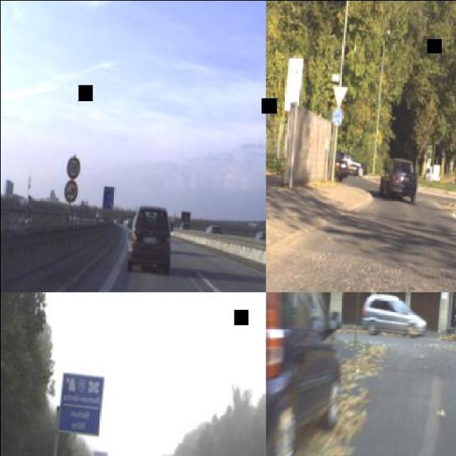 Dataset Image